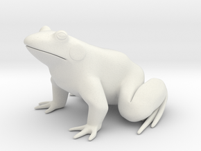 Frog, for acrylic plastic in White Natural Versatile Plastic