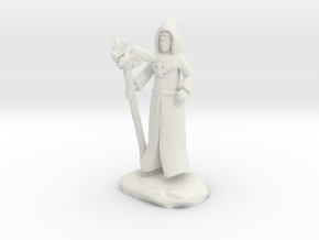 Dragon Cultist with Staff in White Natural Versatile Plastic