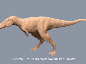 Dinosaur Tyrannosaurus rex Juvenile "Jane" 1:35 v2 in White Natural Versatile Plastic
