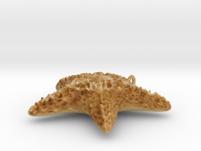 Starfish EtchText in Full Color Sandstone