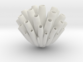 Sea Sponge (Porifera) "pore bearer" in White Natural Versatile Plastic: 1:32