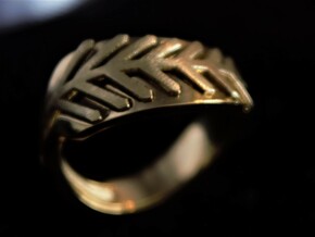Palm ring duo in 18k Gold Plated Brass: 1.5 / 40.5