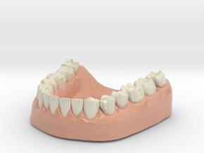 3D Teeth lower in Glossy Full Color Sandstone
