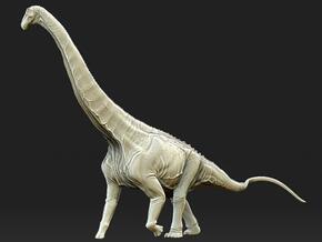 Alamosaurus Krentz in White Natural Versatile Plastic