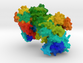 Φ29 DNA Polymerase in Full Color Sandstone