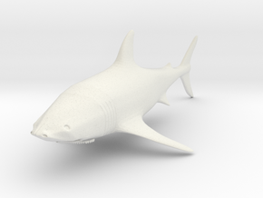 Printle Animal Shark 01 - 1/24 in White Natural Versatile Plastic