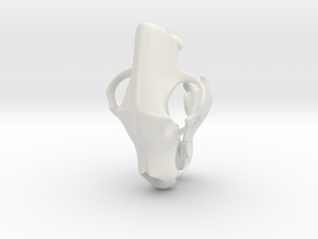 Bear Skull 3D Printed Model in White Natural Versatile Plastic