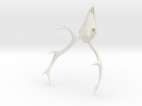Deer Skull 3D Printed Model in White Natural Versatile Plastic