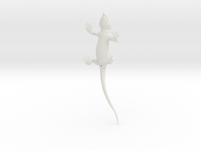 Lizard_3D_hollow in White Natural Versatile Plastic