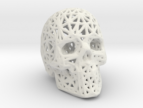 Human Skull with Pattern in White Natural Versatile Plastic