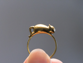 Happy Cat Ring in Polished Brass: 7 / 54