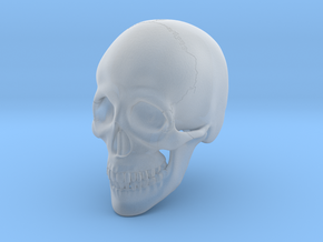 1:16 Scale Human Skull in Tan Fine Detail Plastic