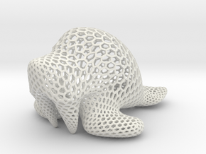 Walrus - hexagonal in White Natural Versatile Plastic