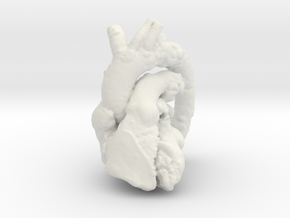 Hollow Heart in White Natural Versatile Plastic