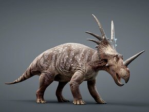 Styracosaurus 1/50 or 1/25 Scale Model - Colored in Natural Full Color Sandstone: Small