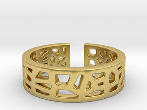 Voronoi ring [sizable ring] in Polished Brass