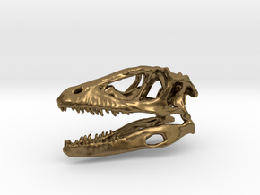 Mini Raptor Dinosaur Skull in Natural Bronze