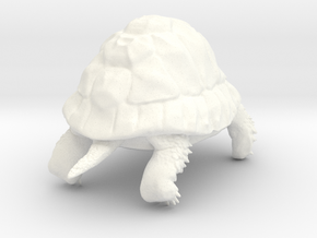 Tortoise in White Processed Versatile Plastic: Small