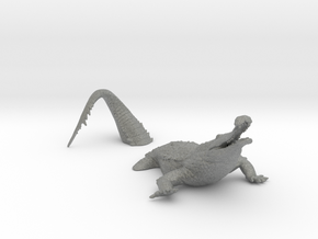 Sarcosuchus in Gray PA12: Small