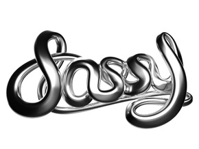 Sassy in Fine Detail Polished Silver