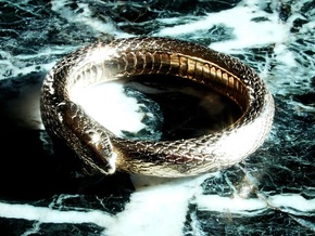 Ouroboros Ring Ver.2 (Size 10.5) in Polished Bronze