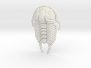 Tricrepicephalus Trilobite Sculpture in White Natural Versatile Plastic