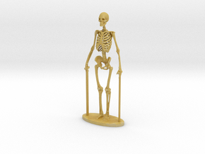G Scale Skeleton in Tan Fine Detail Plastic