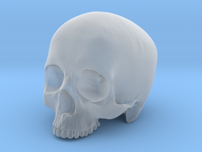 Skull Top scale 1/6 in Clear Ultra Fine Detail Plastic