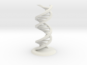 Accurate DNA Model in White Natural Versatile Plastic