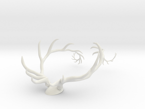 Antler Set w/Backing in White Natural Versatile Plastic