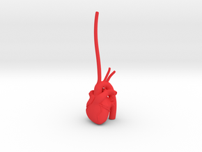 Anatomical Heart Ring Holder in Red Processed Versatile Plastic