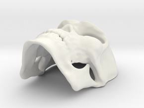 Splatterhouse Skull Mask in White Natural Versatile Plastic