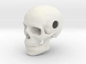 25mm 1in Bead Human Skull Pendant Crane Schädel in White Natural Versatile Plastic