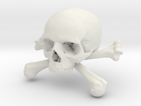 58mm 2.28in Skull & Bones Skull Crane Schädel in White Natural Versatile Plastic