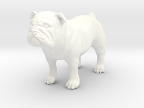 Bulldog  in White Processed Versatile Plastic