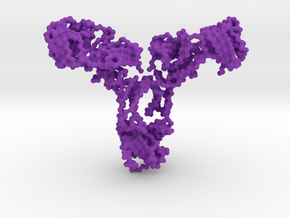 Antibody - IgA2 - monomer in Purple Processed Versatile Plastic
