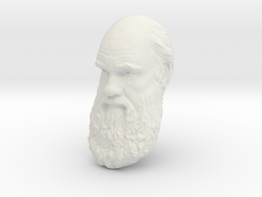 Charles Darwin 12" Head Wall Mount in White Natural Versatile Plastic