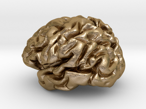 Brain Beer Twist Opener Metal in Polished Gold Steel