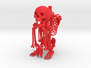 Mr Bones -- Articulated Skeleton in Red Processed Versatile Plastic