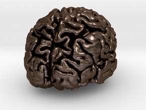 Precious metal brain pendant from MRI scan in Polished Bronze Steel