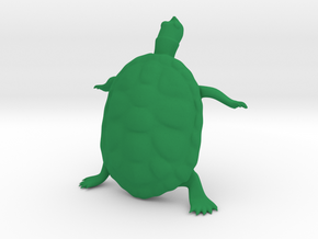 The Wondering Turtle in Green Processed Versatile Plastic
