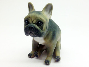 Sitting Brown Frenchie in Full Color Sandstone
