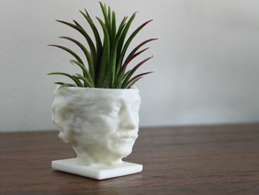 Einstein Air Plant Planter in White Natural Versatile Plastic