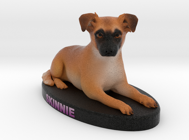 Custom Dog Figurine - Skinnie in Full Color Sandstone
