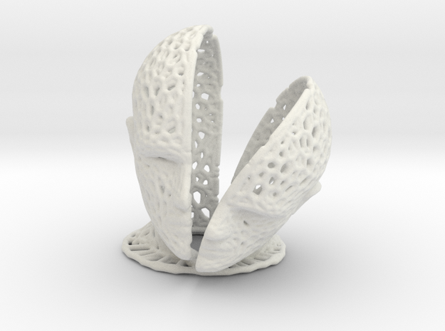 Head Voronoi in White Natural Versatile Plastic