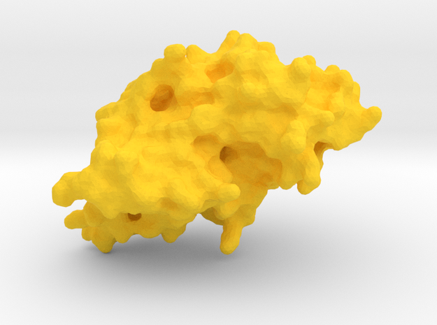 1_SENP2 in Yellow Processed Versatile Plastic