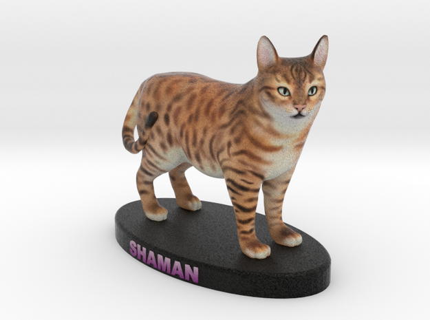 Custom Cat Figurine - Shaman in Full Color Sandstone