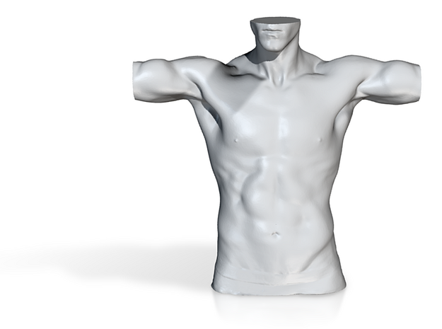 Digital-Man Body Part 004 scale in 4cm in Man Body Part 004