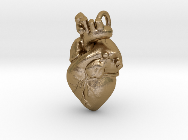 Anatomical Heart Pendant in Polished Gold Steel