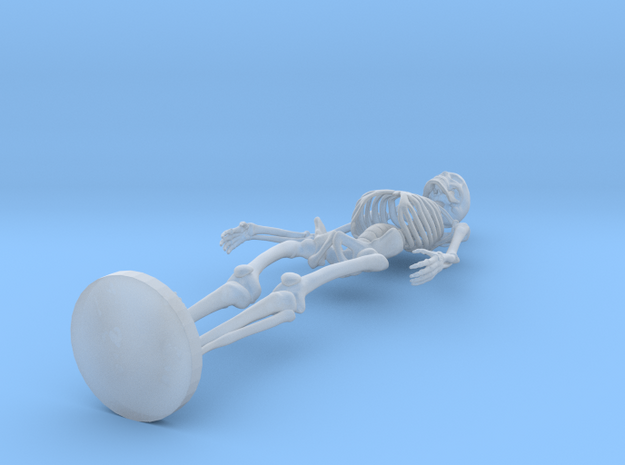 1:24 1:25 Skeleton